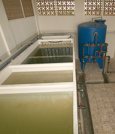 Water Clarifier 12 m3.h for a Farm